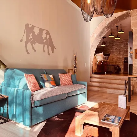 La Tannerie, Centre Historique, Fibre, Ess, Rez-de-chaussee, Bedinshop Apartment Romans-sur-Isere